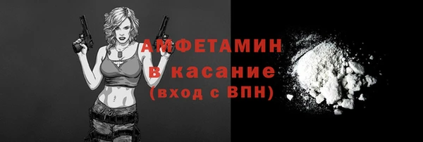 прущие грибы Абаза